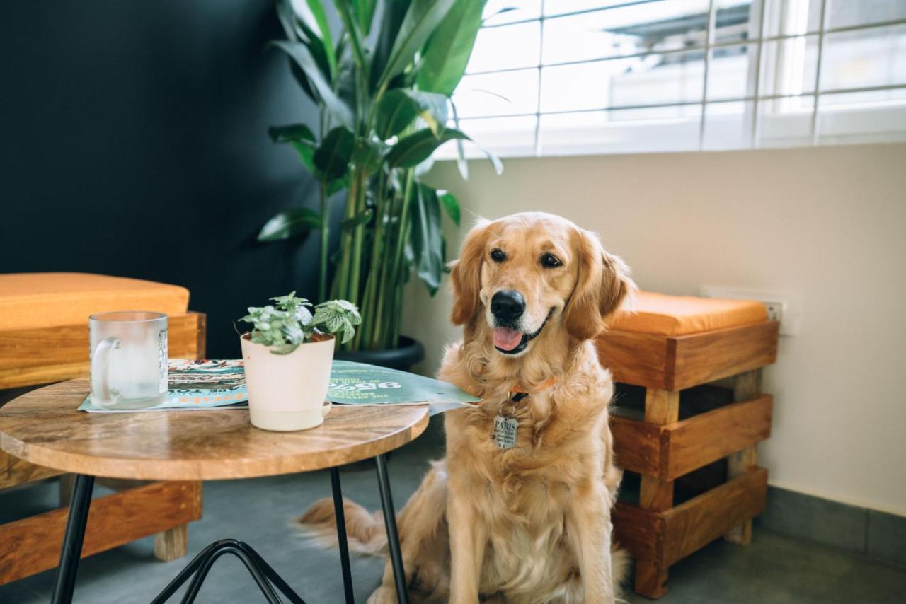 Draper Startup House ,Koramangala Hostel Bengaluru Kültér fotó